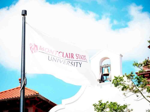 A Insufficient Contrast Image of MSU's Cole Hall Bell and Flag