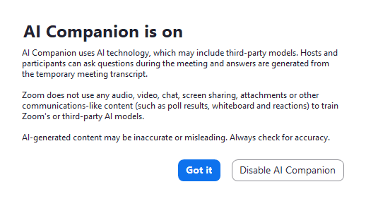 ai companion disclaimer