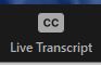 screenshot of zoom control panel detail showing live transcript location