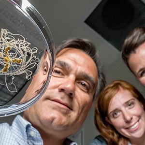 Researcher Paul Bologna and students study jellyfish.