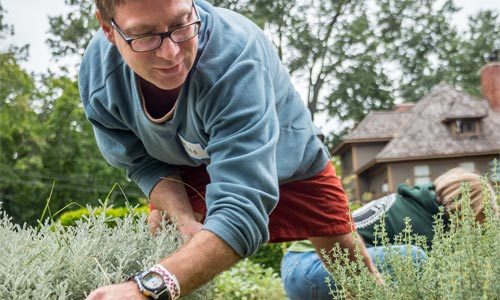 Professor Todd Kelshaw works at the Montclair Community Farm during the National Day of Service.