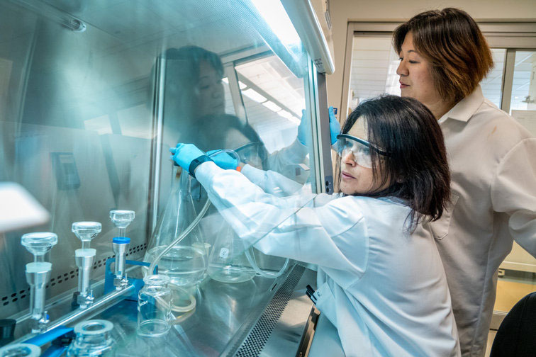 Students clad in lab coats in laboratory handling sensitive material.