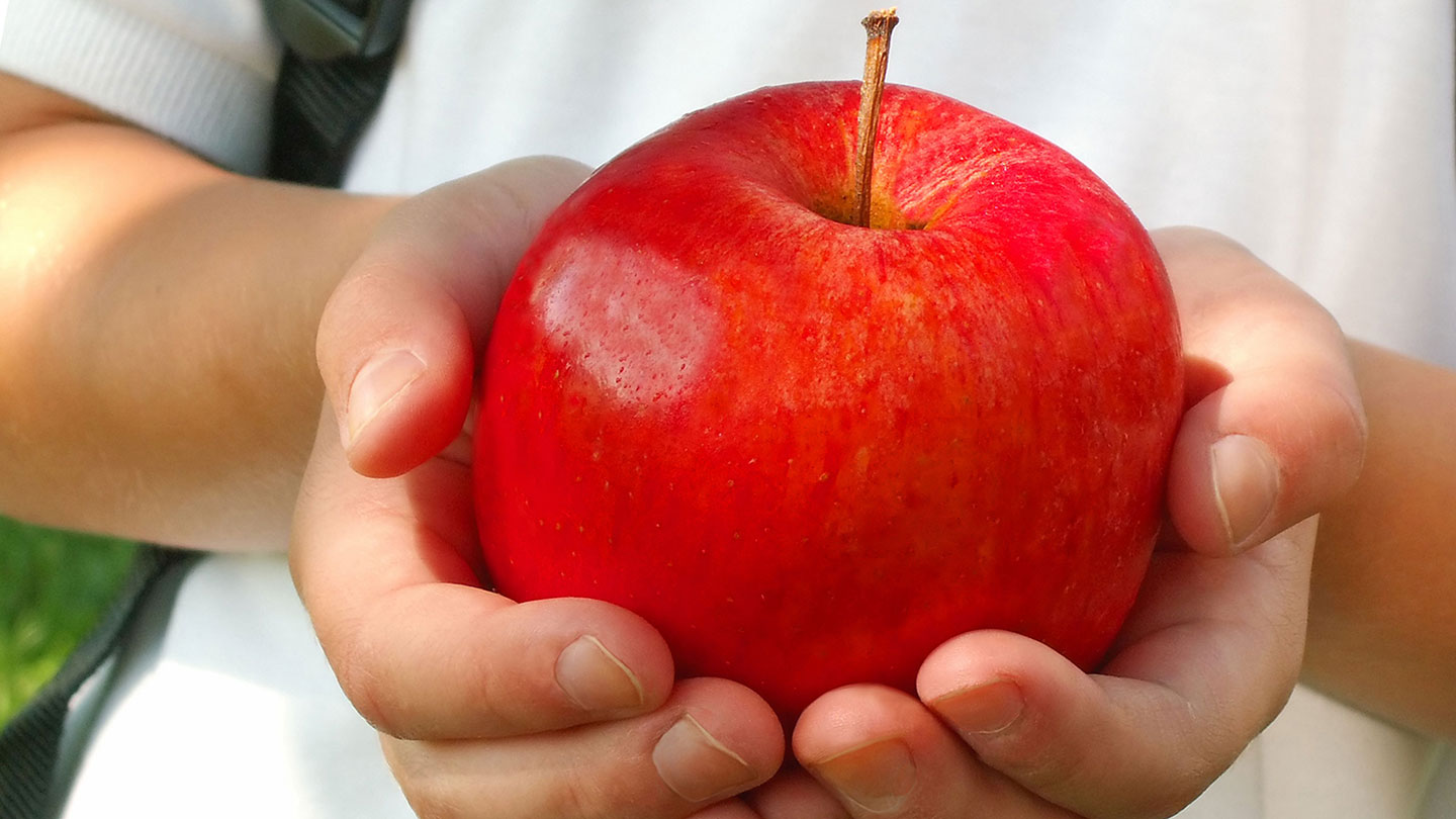 Zoomed in photo of child holding apple in hands.