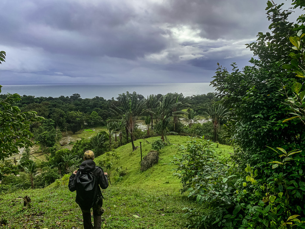 The Masoala region where Borgerson works is where the rainforest meets the sea.