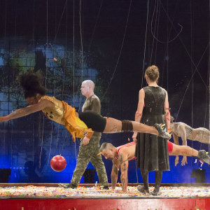 The 2019 production of Falling & Loving, premiered in October on PEAK HD.