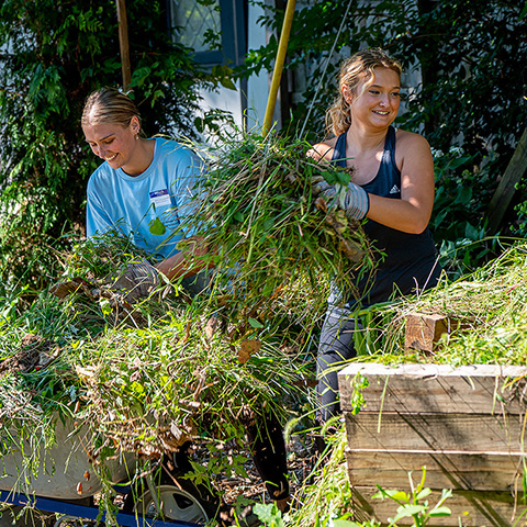 Volunteers at the Montclair Community Farm