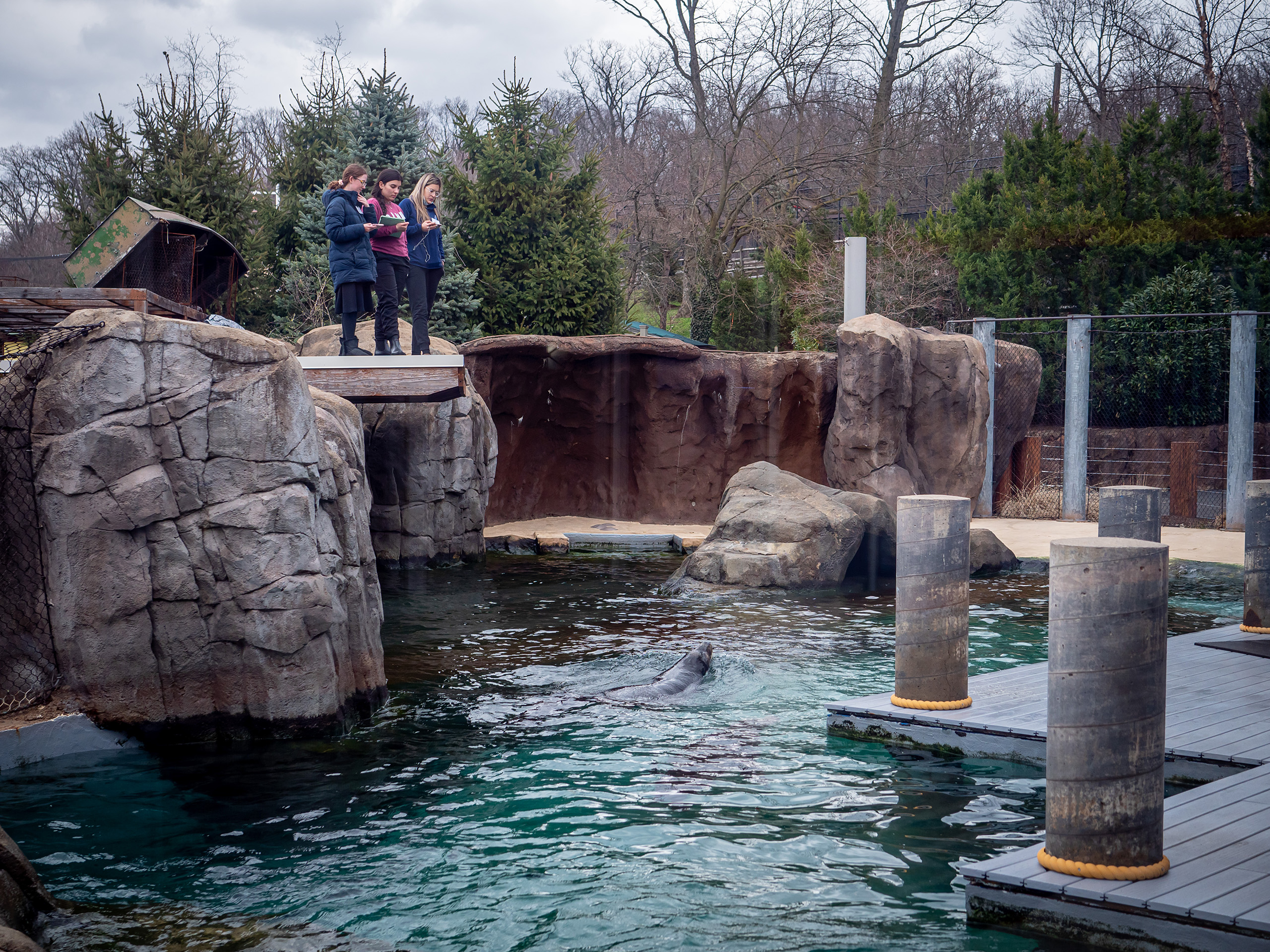 Elisa Stone, Camila Escobar and Evelyn Villada observing sea lions from above