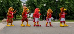 Five generations of Rocky walking across the street in the style of Abbey Road