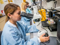 Photo of student using a stereo microscope.