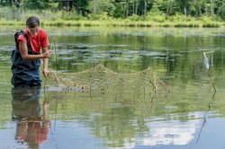 Photo of student collecting samples in lake.