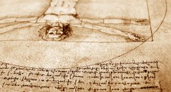 close-up of Leonardo DaVinci's Vitruvian Man