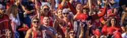 Students cheering in stands at homecoming
