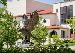 Campus hawk statue