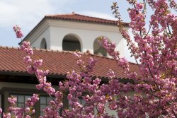 campus spring