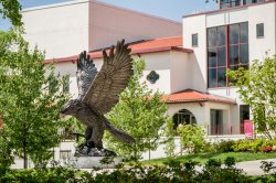 Red Hawk Statue