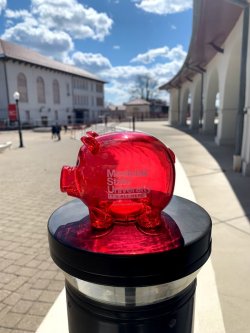 Phil the Pig