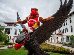 Rocky Red Hawk Restart