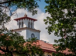 Photo of Cole Hall roof framed by trees