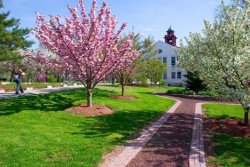Alumni Green on campus