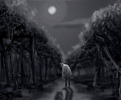 The Creature Collective header image