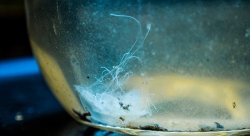 Feature image for Mysterious Balls of Goo Are Rolling Onto American Beaches