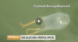 Feature image for Biology Professor Featured on The Weather Channel