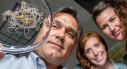 Feature image for Clinging Jellyfish Arrive at Montclair State