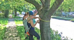 Arianna, Norhan, and Doriann finding the diameter of a tree