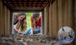 Feature image for Aquatic Habitat Connectivity and Culvert Assessments