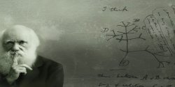 Charles Darwin thinking