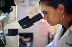 Aline de Oliveria looking through microscope