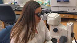 Domenica Mousa in Monmouth County Mosquito Control lab