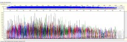 Raw Data Electropherogram