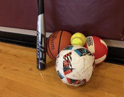 A volleyball, soccer ball, basketball, baseball and baseball bat laid together on the floor