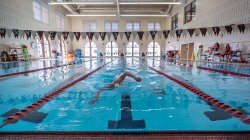 Shot of the indoor pool with a swimmer coming towards you
