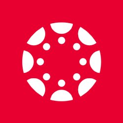 canvas logo reversed