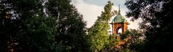 view of Cole Hall belltower through trees