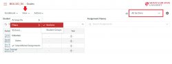 The Grades section showing the Section filter, accessed via the View menu, and subsequent location of filter selections