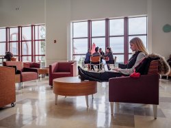 A student sitting in CELS studying on their laptop.