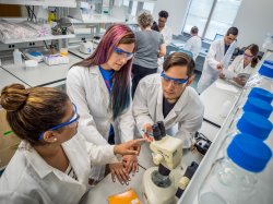 Students working in lab equipment in a lab.