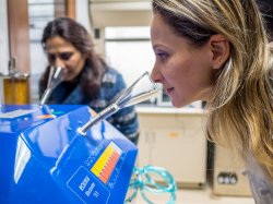 Photo of Nutrition student using lab equipment