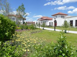 Campus greenery