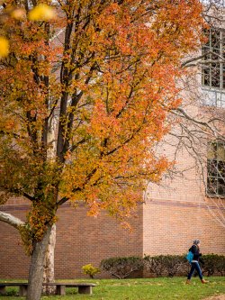 Photo of campus in fall