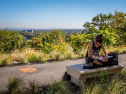 montclair skyline