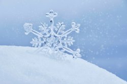 Snowflake