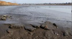 Feature image for CSAM Faculty Validate EPA's Hackensack River Contamination