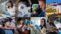 collage of students conducting research, Summer 2023