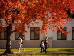 Students walking on campus in fall