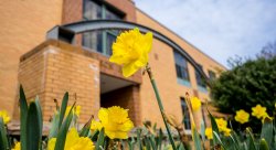 Photo of Dickson with Daffodils