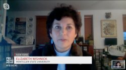 photo of Elisabeth Wishnick during a remote interview PBS News Hour
